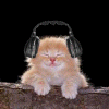 alt_example